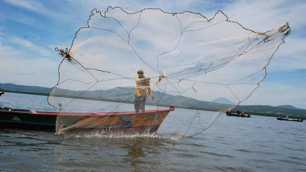 Pescadores artesanales agradecen al Presidente Bukele, ayuda económica durante emergencia por ETA pescadores-artesanales-agradecen-al-presidente-bukele-ayuda-economica-durante-emergencia-por-eta